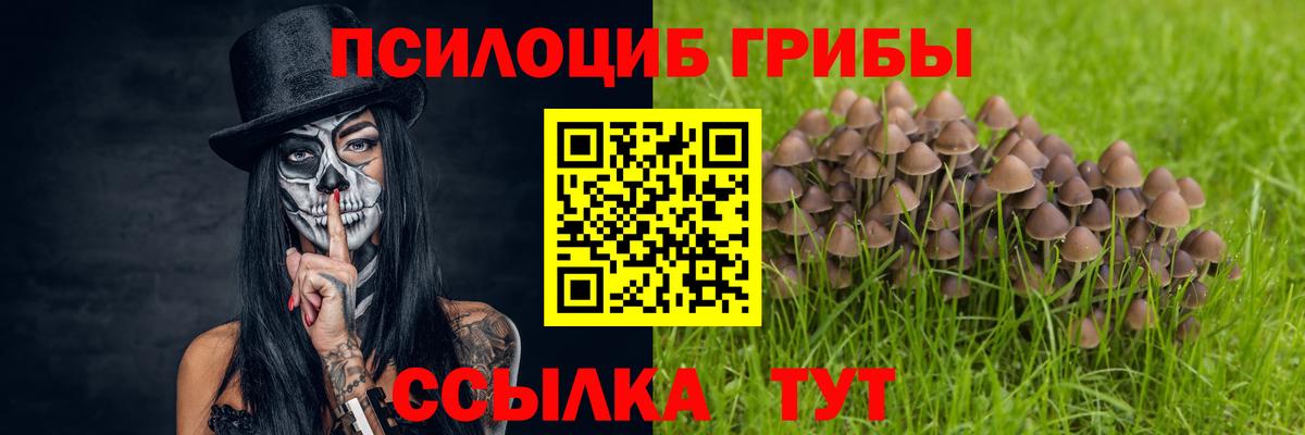 Астрахань  Псилоцибиновые грибы Cubensis  Вход с VPN 